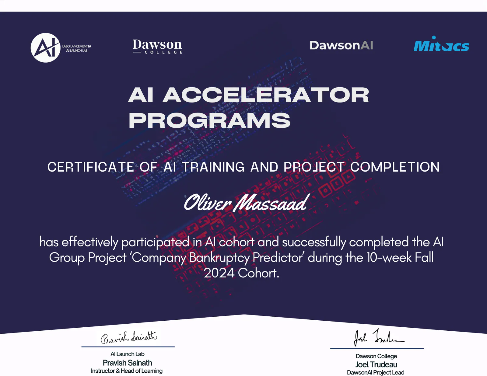 AI Accelerator Program